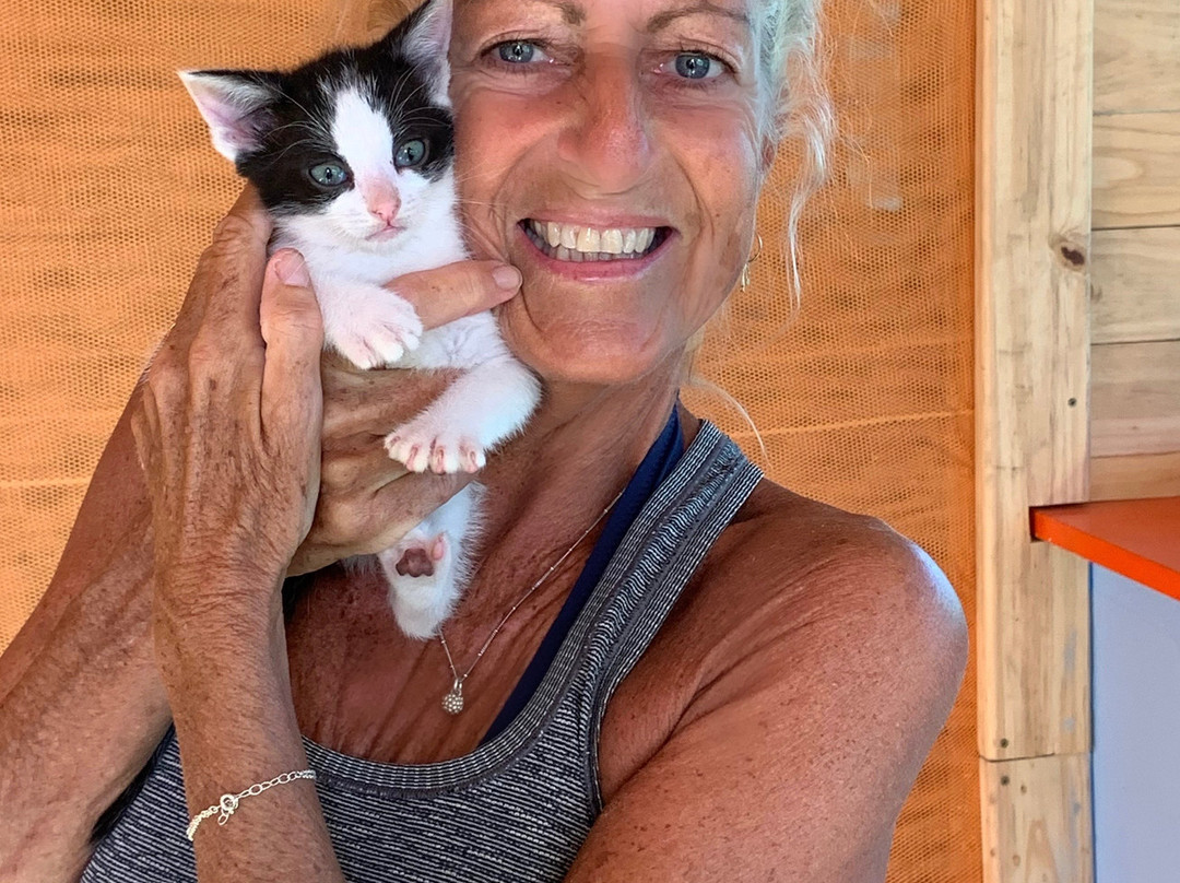 African Tulip Guesthouse主图