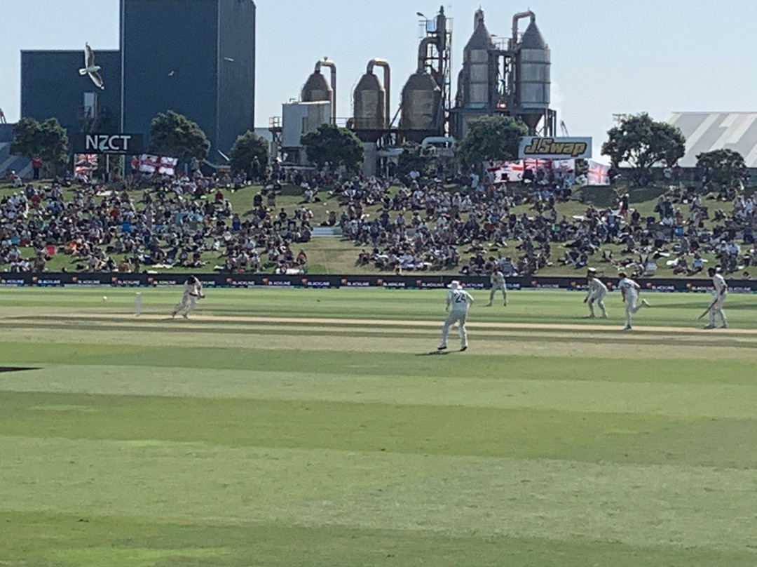 Bay Oval Cricket Ground景点图片