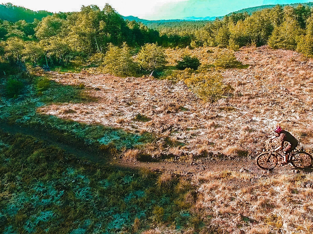 Pedal Chile-瓦尔迪维亚必去景点