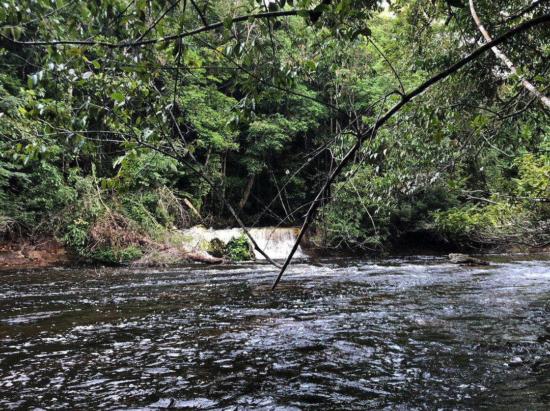 Cachoeira do Boto-Presidente Figueiredo必去景点