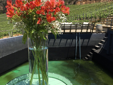 Bodega Wine Tours-圣地亚哥必去景点