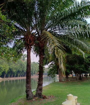 Taman Tasik Bandar-Temerloh必去景点