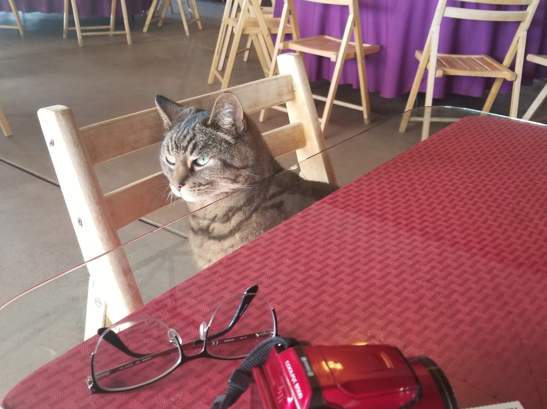 Fazeli Cellars Winery-特曼库拉必去景点