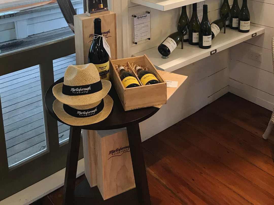 Talk of the Town Tours-惠灵顿必去景点