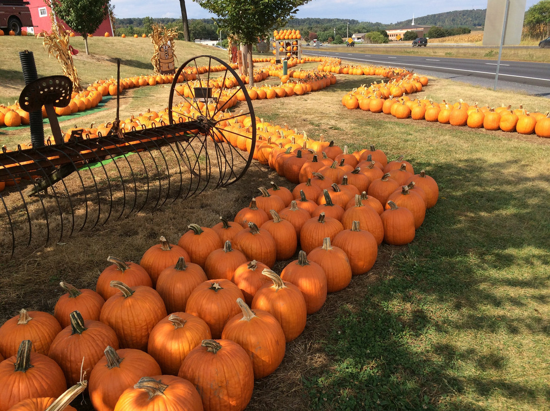 Virginia Farm Market景点图片