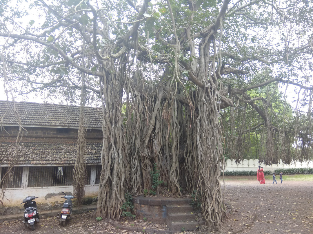 Maharaja's Palace景点图片