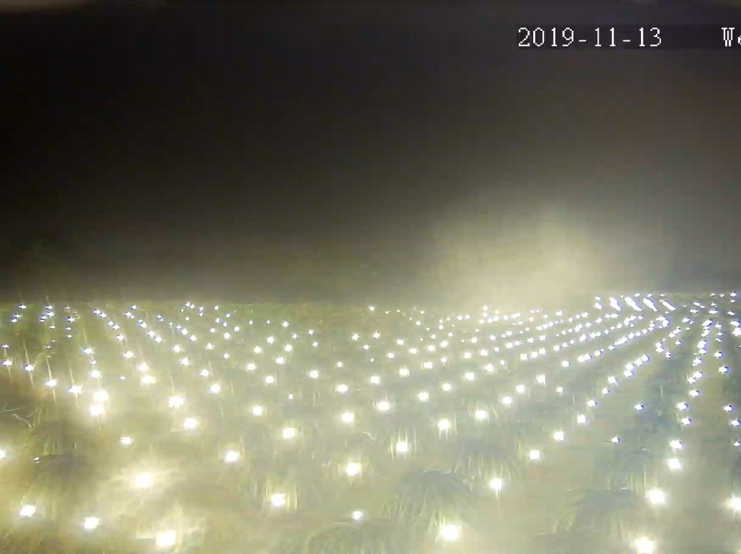 My Tam Travel-美奈必去景点