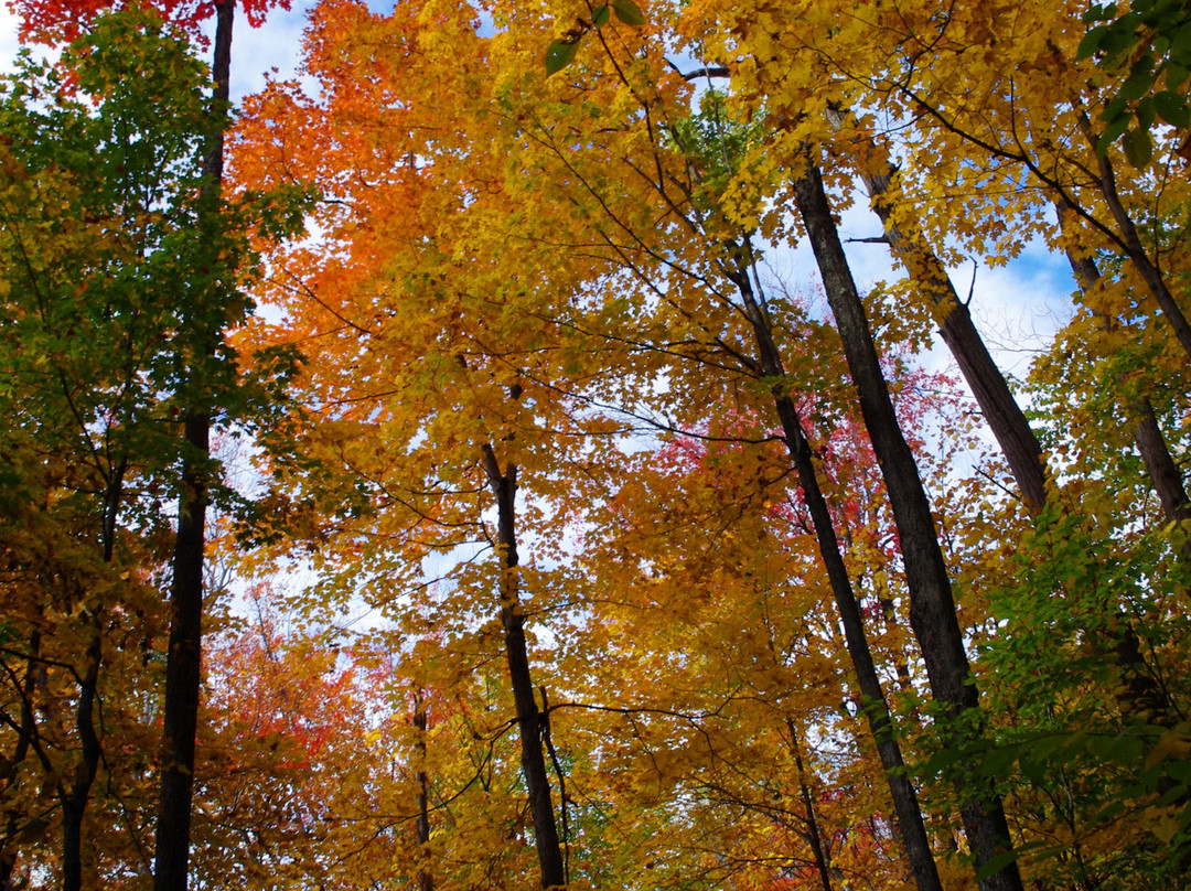 Mont Chauve-Orford必去景点