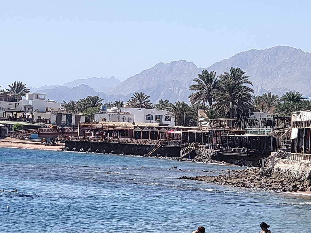 奥里贾纳达哈卜酒店主图