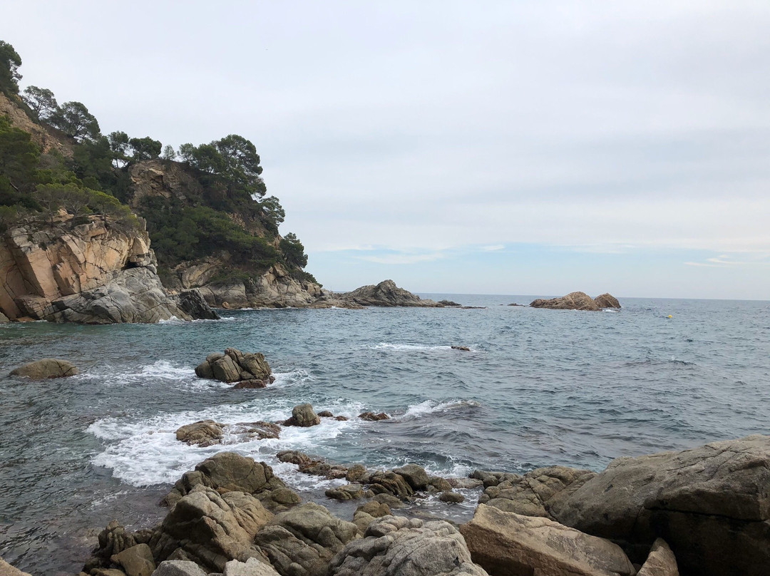 Platja d’es Codolar景点图片