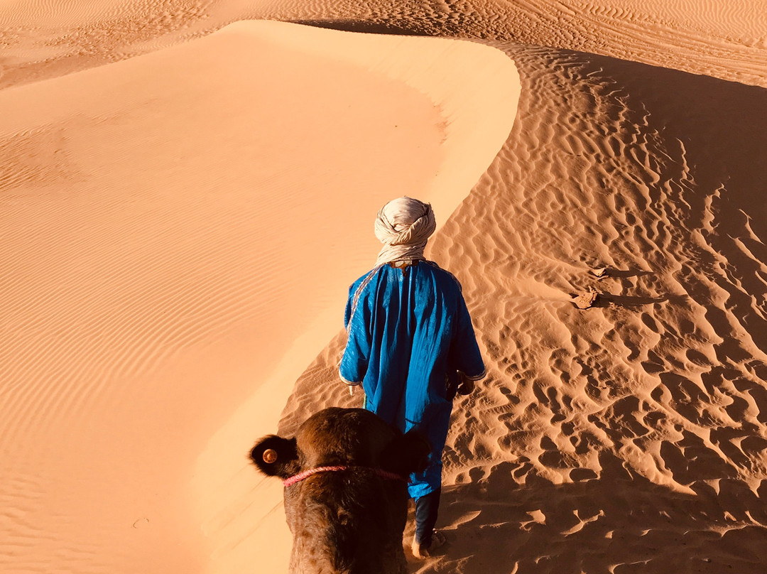 Sahara Relax景点图片