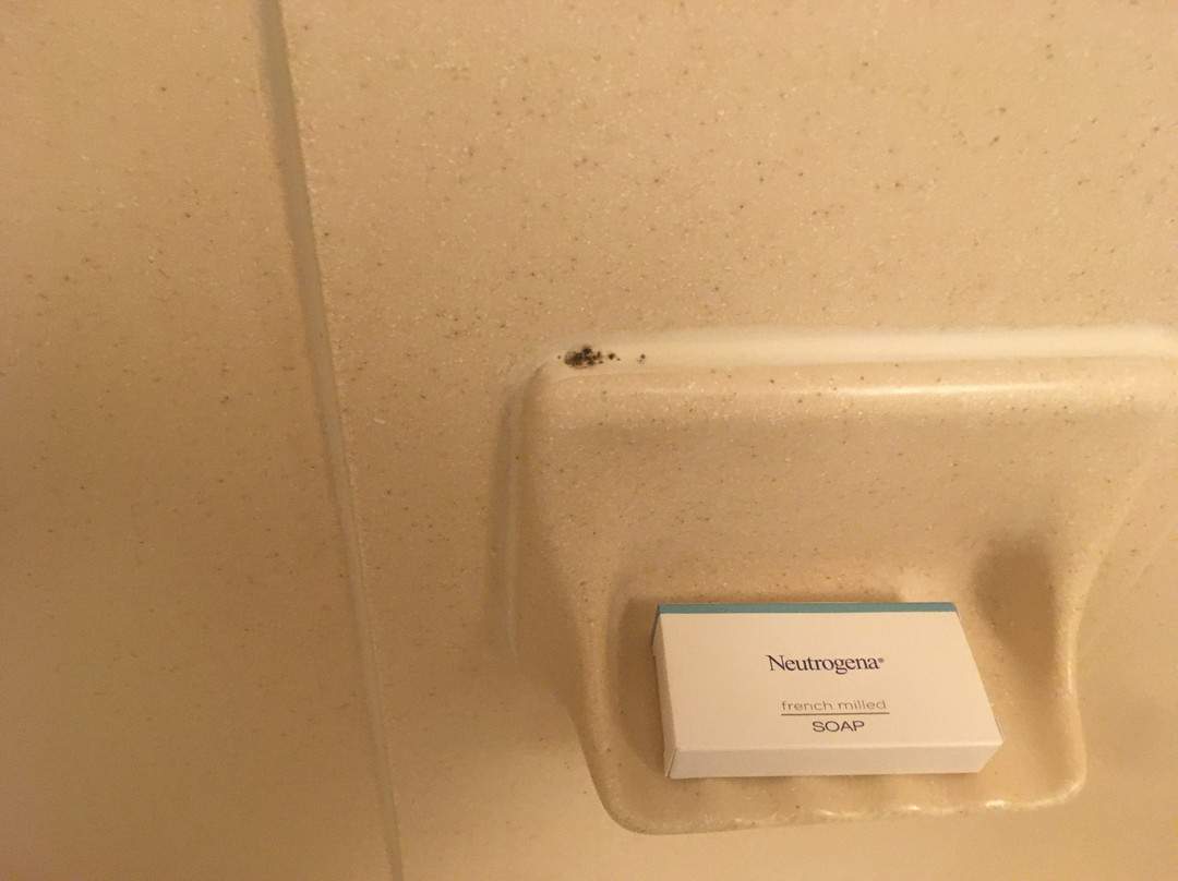 米尔皮塔斯汉普顿酒店主图