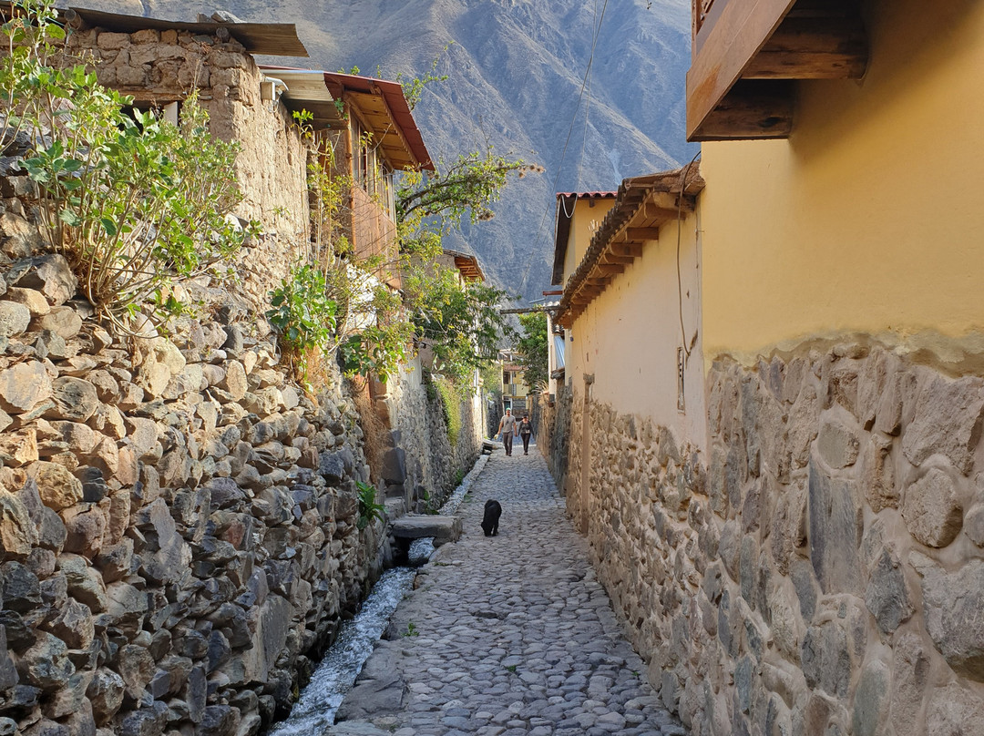 Picaflor Tambo Guest House主图