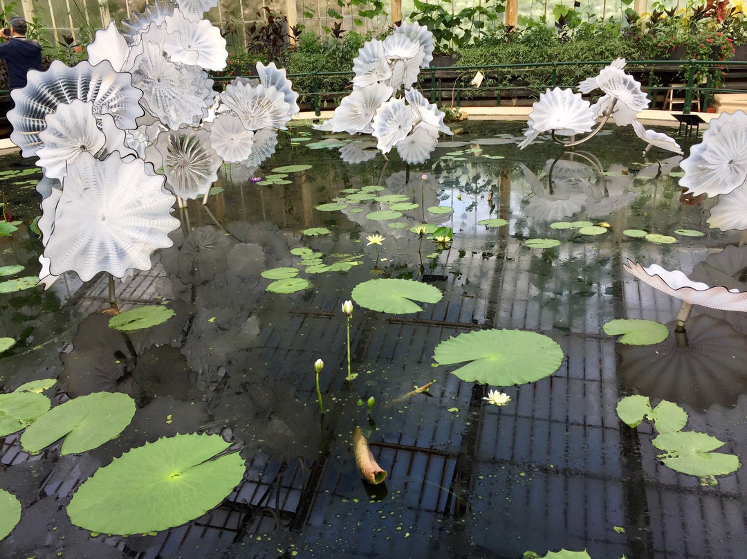 Waterlily House景点图片