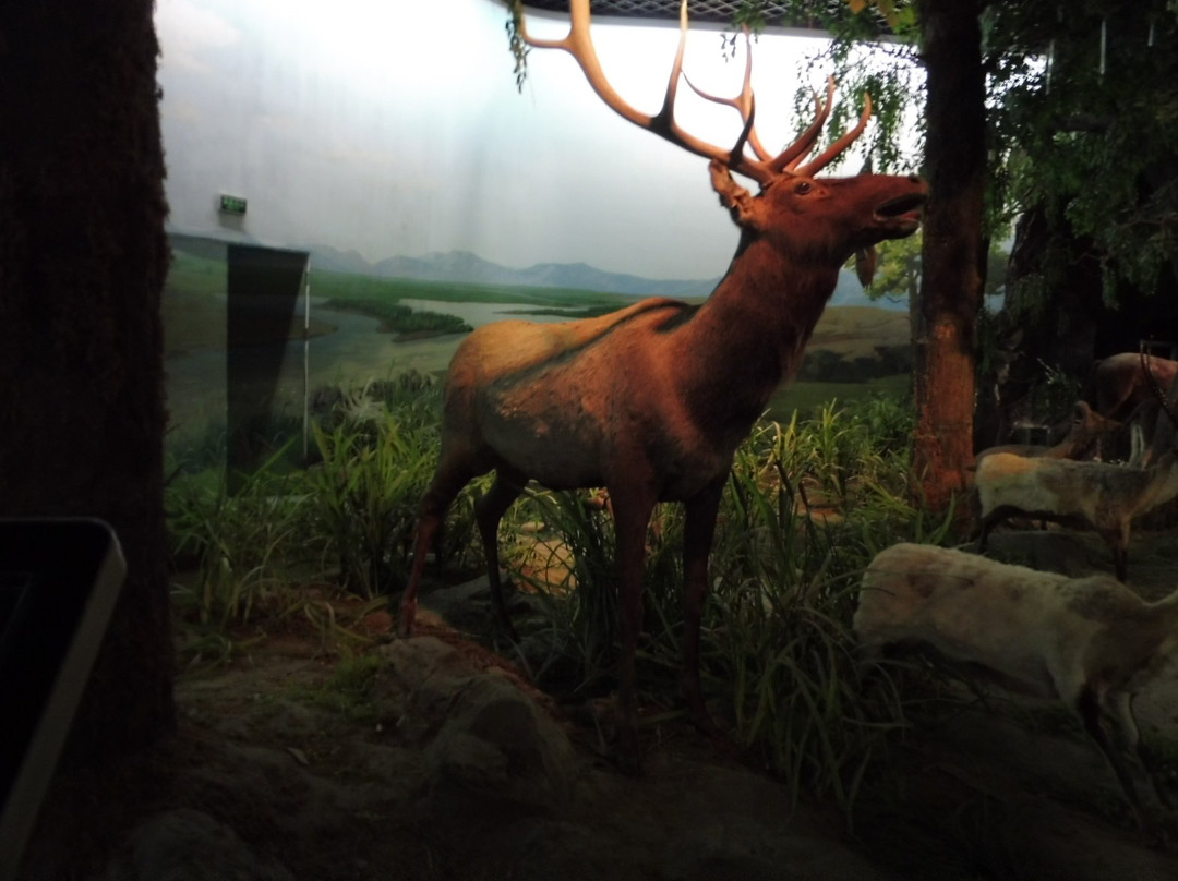 Yellow River Palace-中卫市必去景点