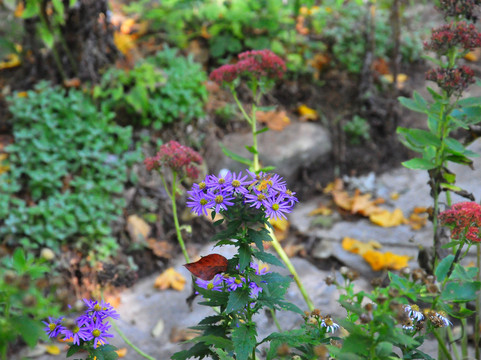 Giardini del Casoncello