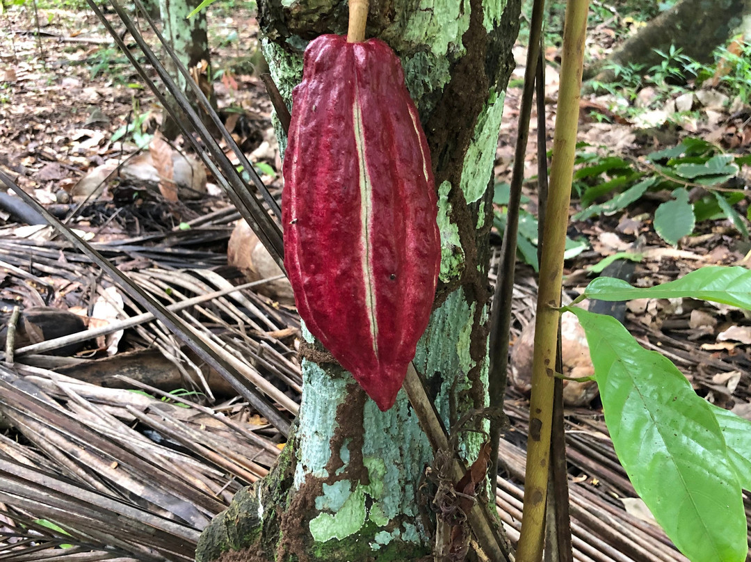 Black Bay Beach-格林纳达必去景点