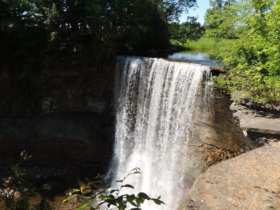 Indian Falls Conservation Area景点图片