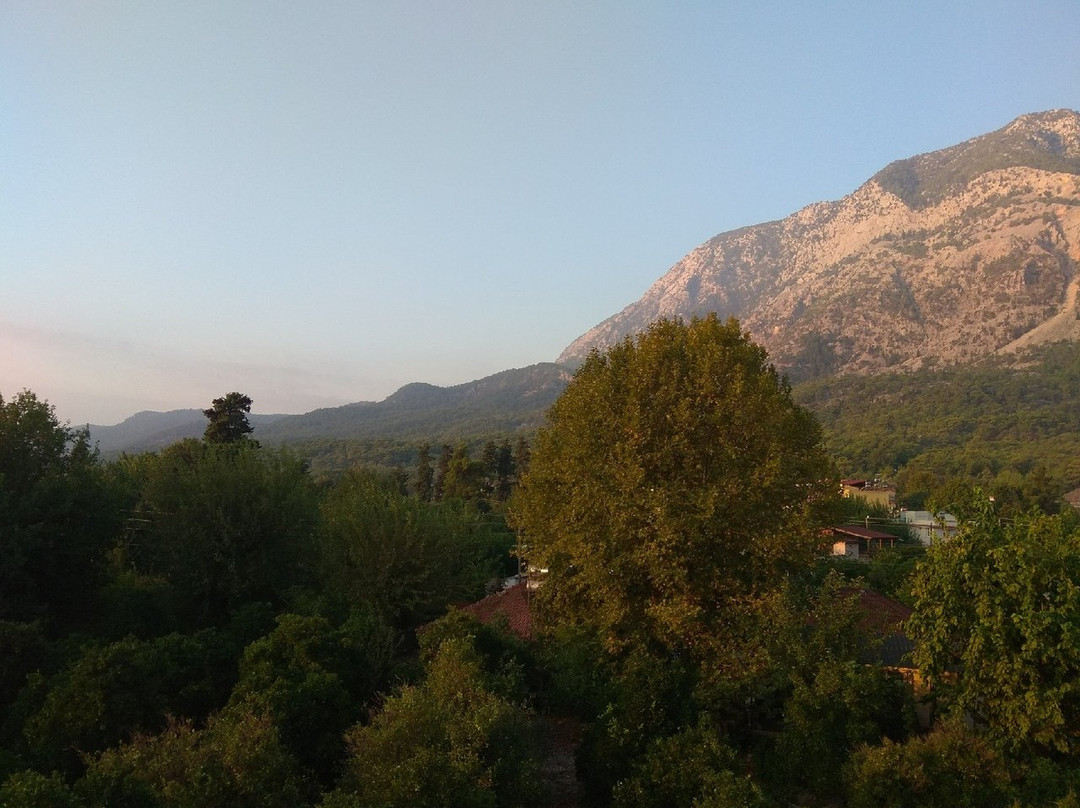 Gonul Palace Hotel主图