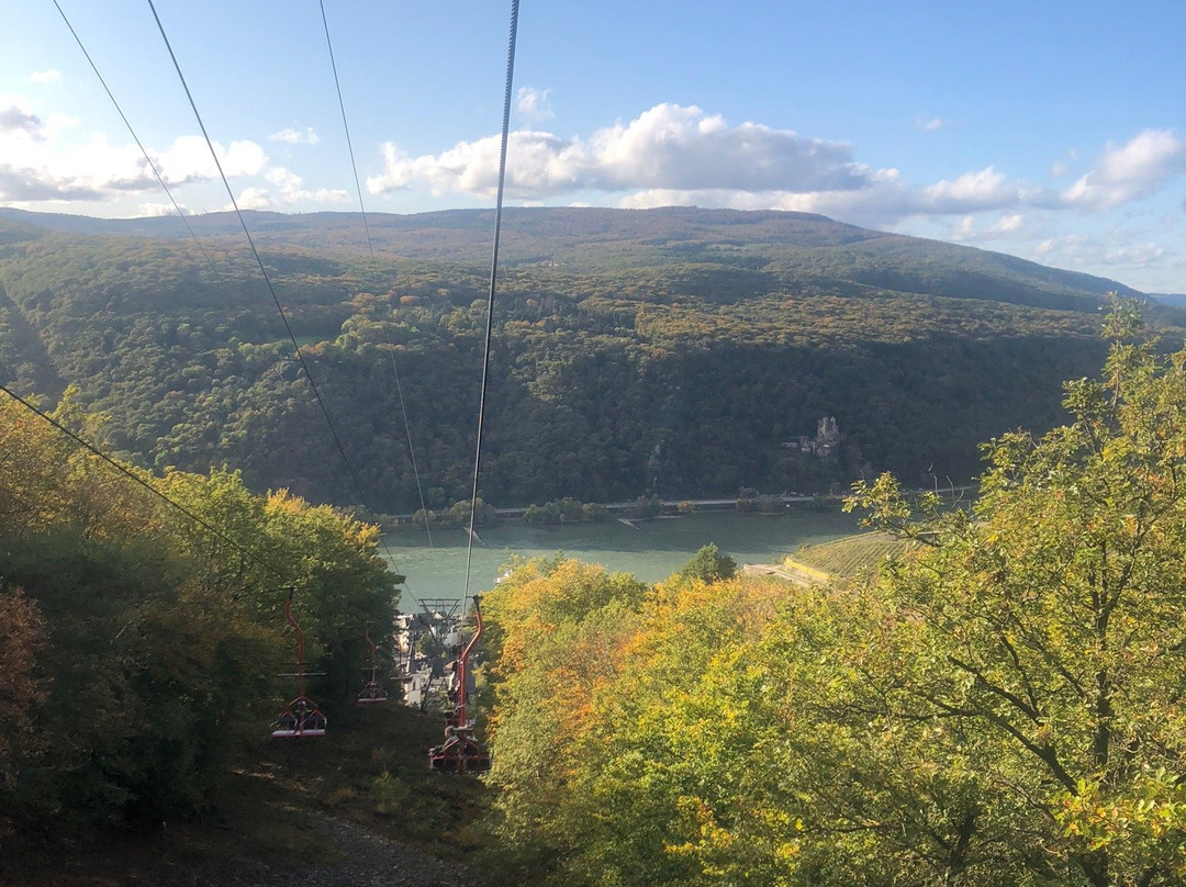 Niederwald Chairlift Assmannshausen on the Rhine景点图片