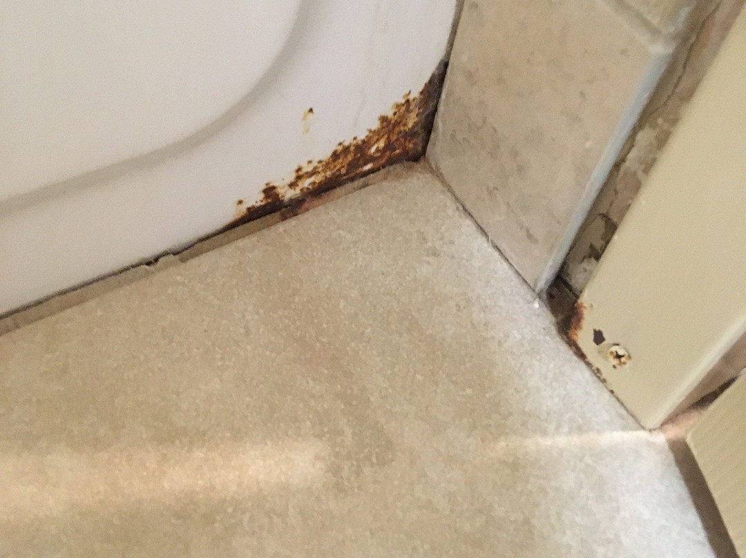 Big Country Hotel & Suites主图