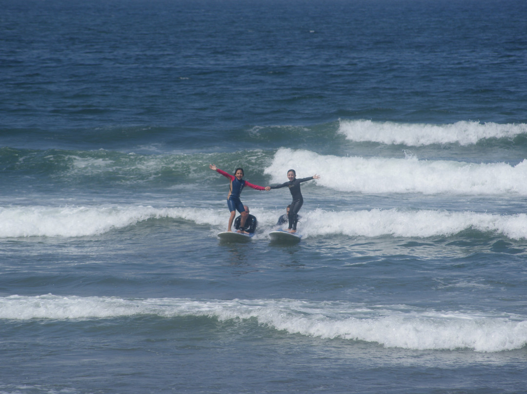 Surf Ensenada景点图片