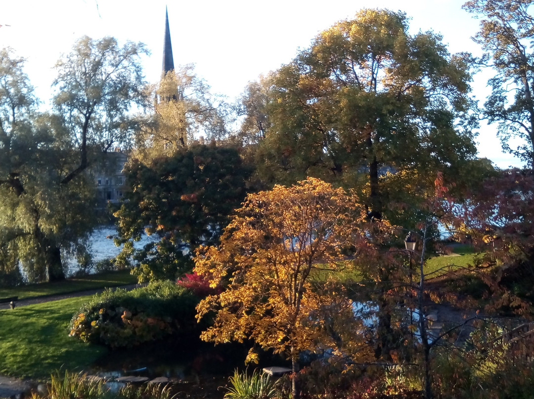 Branklyn Garden景点图片