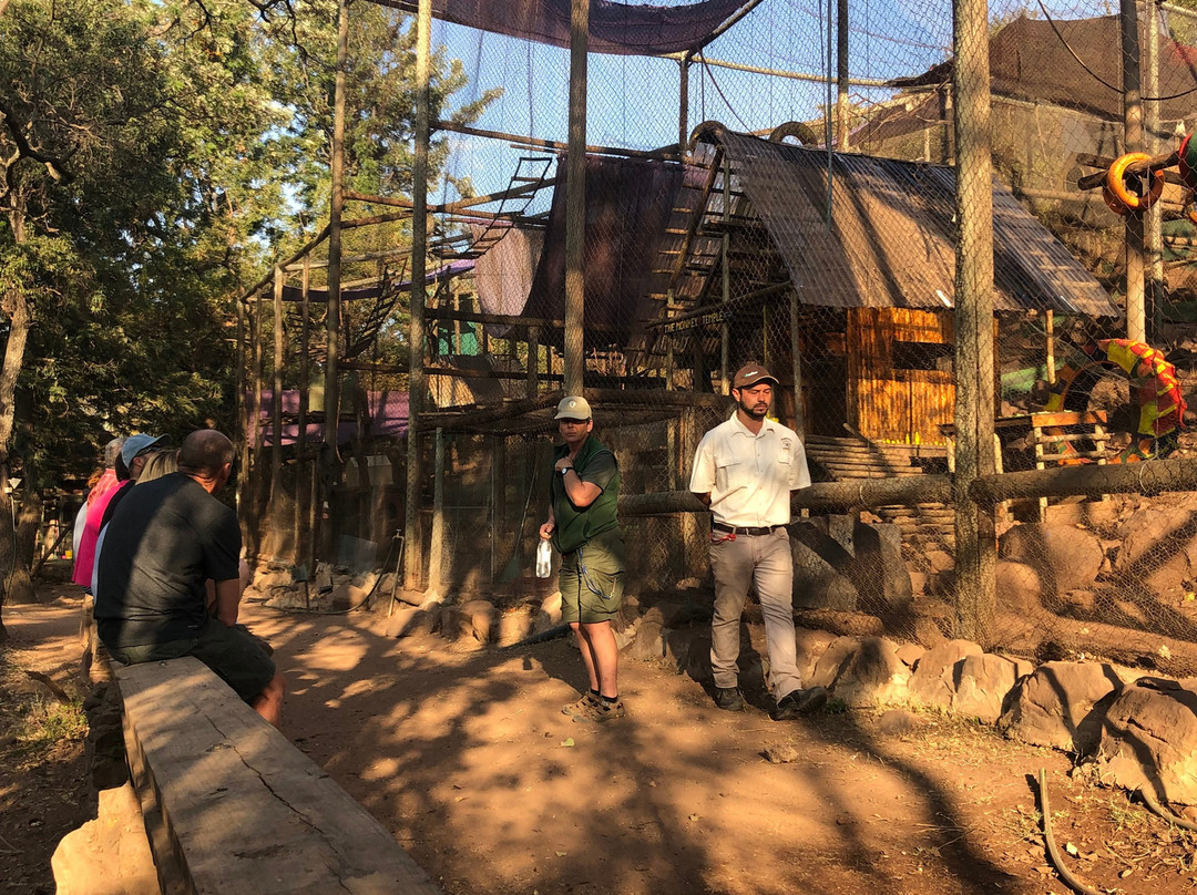 Bambelela Wildlife Care&Vervet Monkey Rehabilitation Farm-贝拉贝拉必去景点