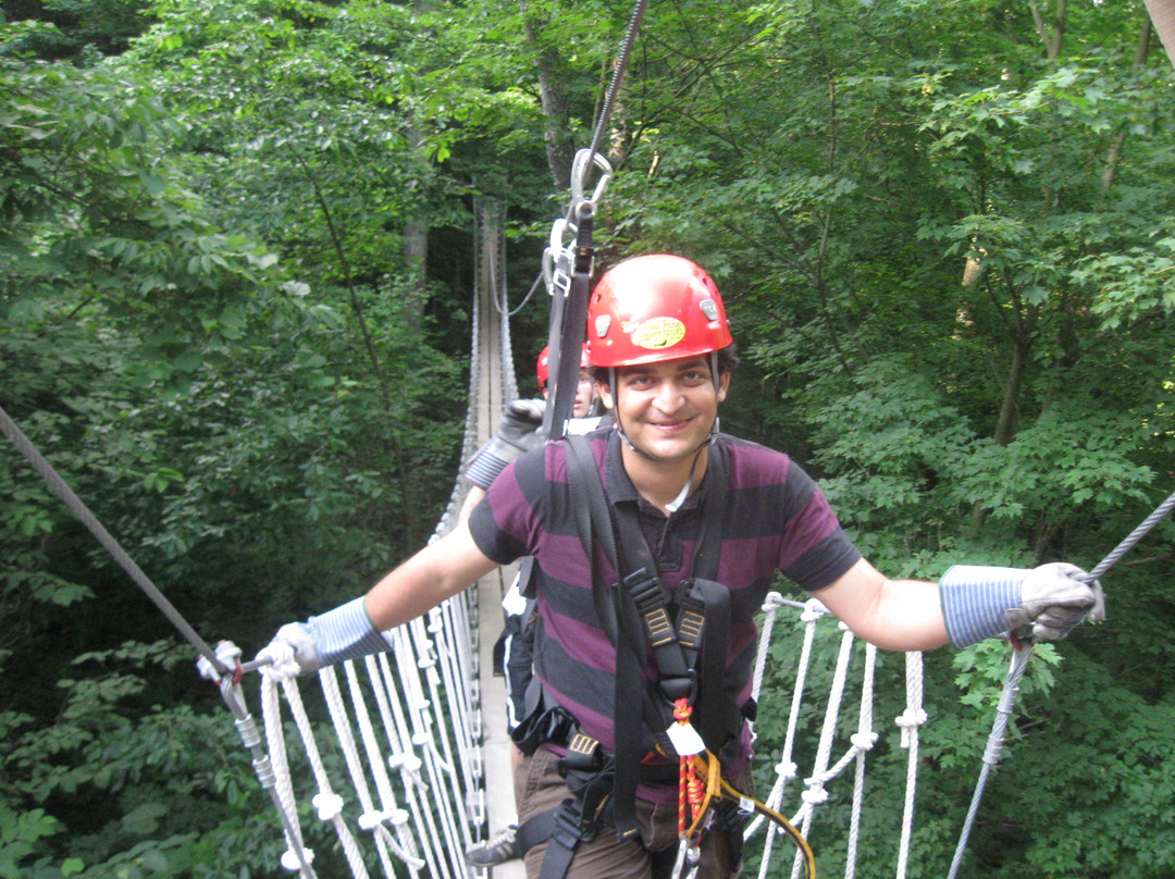 Tree Frog Canopy Tours Zipline景点图片