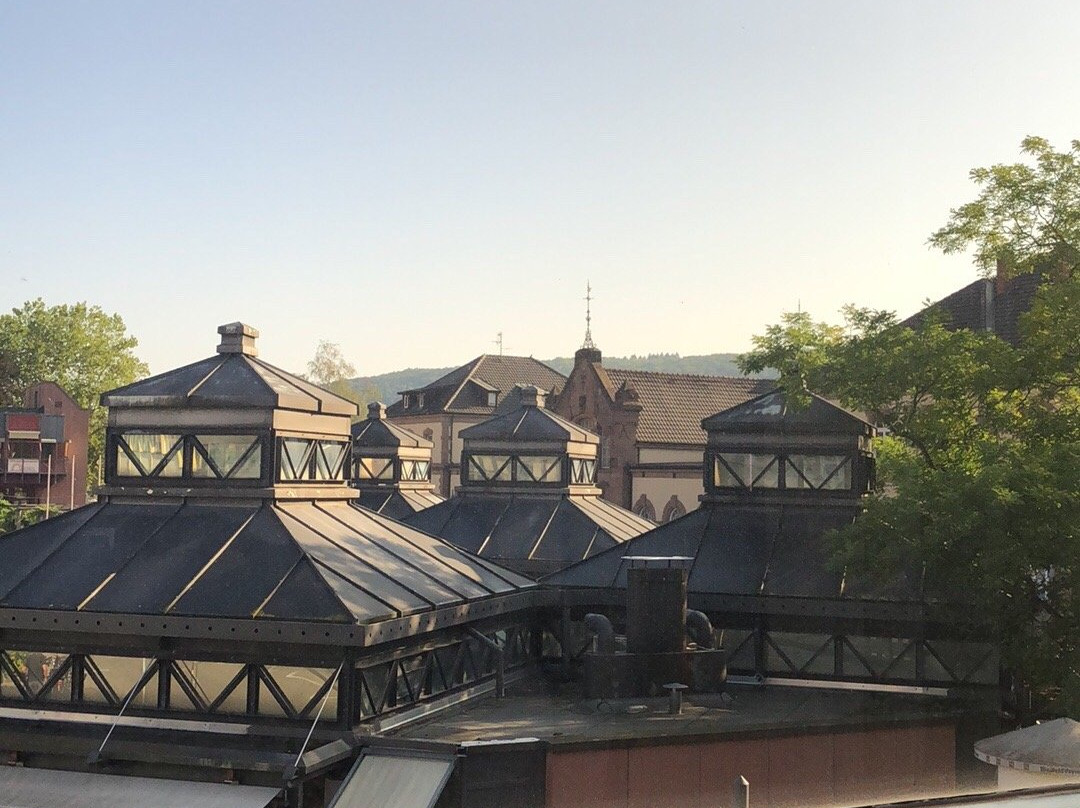 戴维德公园酒店主图