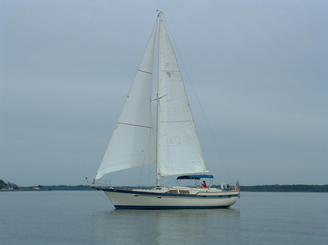 On The Wind Sailing Cruises-新伯尔尼必去景点