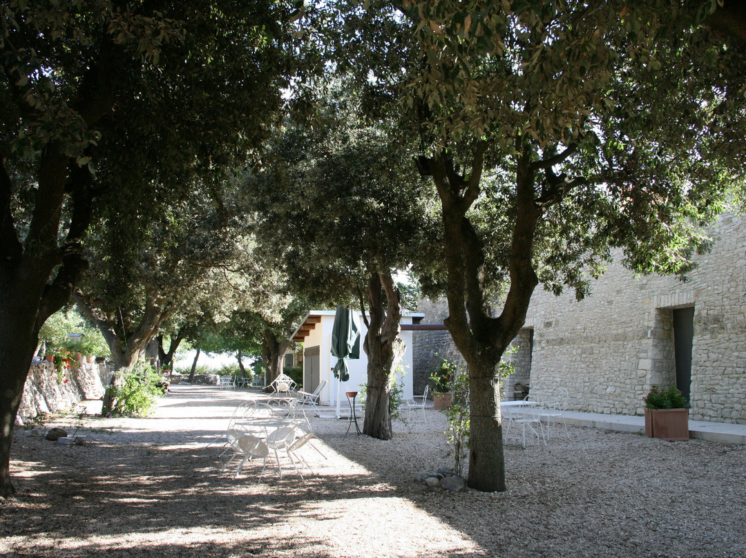 Ai Pilieri di Bagnoli主图