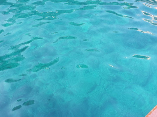 Blu Mediterraneo s.a.s-萨勒诺必去景点