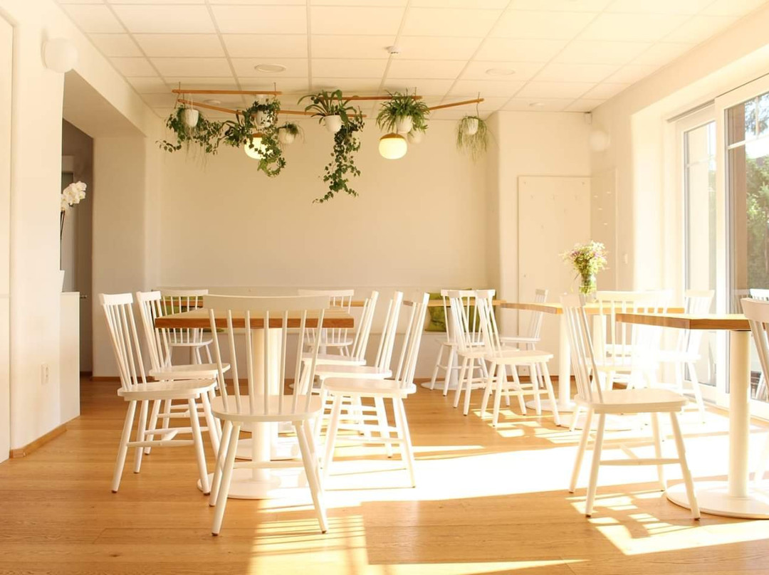 Nashe Bistro, veggie bistro