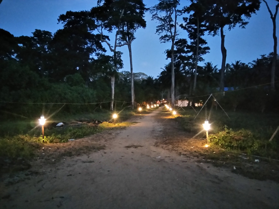 Pearl Park Beach Resort主图