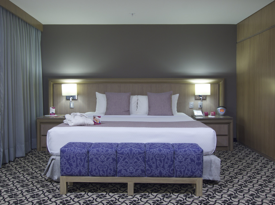 Crowne Plaza Mexico Norte Tlalnepantla by IHG主图