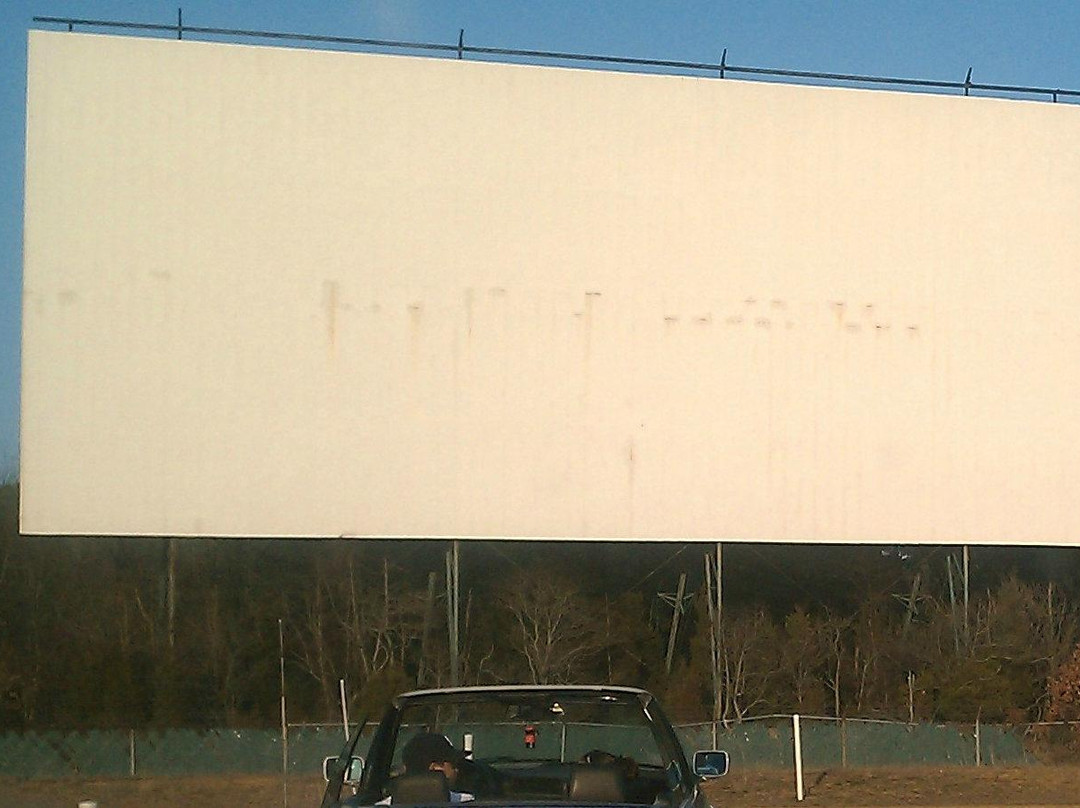 Delsea Drive-In Theatre景点图片