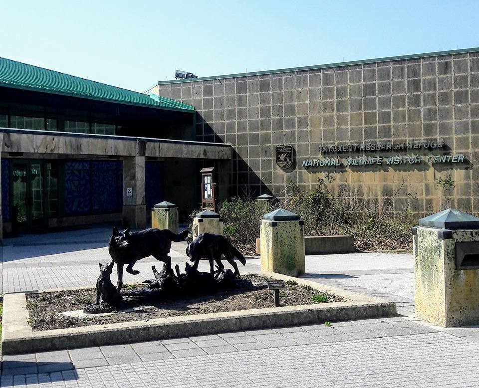 Patuxent Research Refuge, South Tract