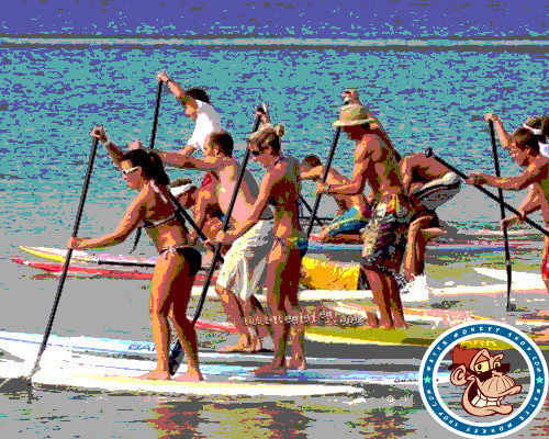 Water Monkey Stand Up Paddle Boarding