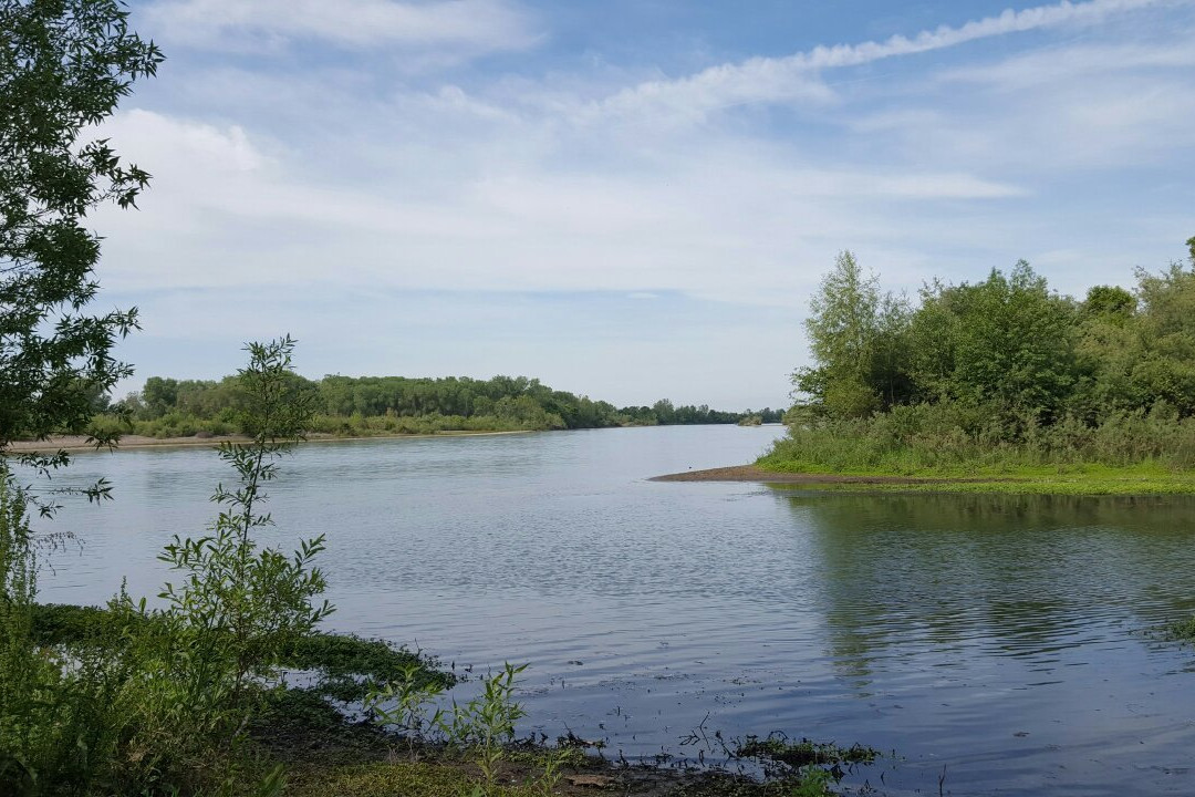 Orland旅游景点-Bidwell-Sacramento River State Park