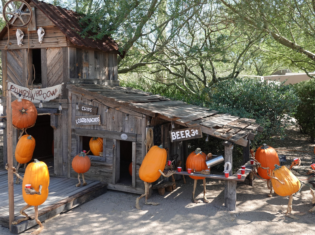 Carefree Desert Gardens-凯尔福利必去景点