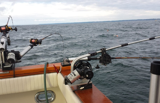 C & D Charters-Port Washington必去景点