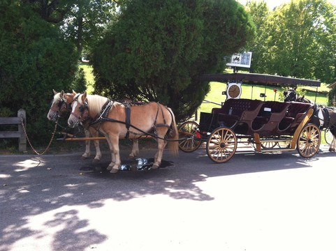 Lexington Carriage Company-列克星敦必去景点