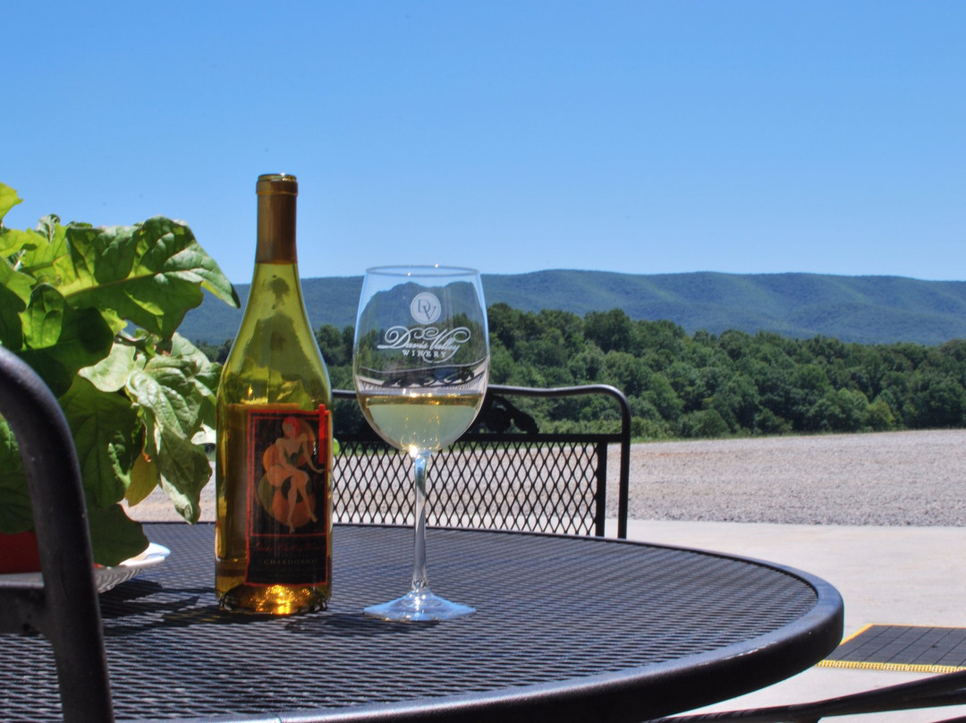 Atkins旅游景点-Davis Valley Winery and Vineyard