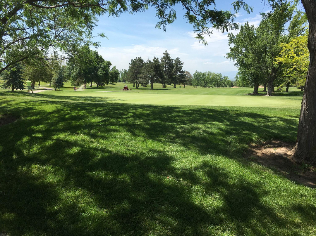 Davis Park Golf Course景点图片