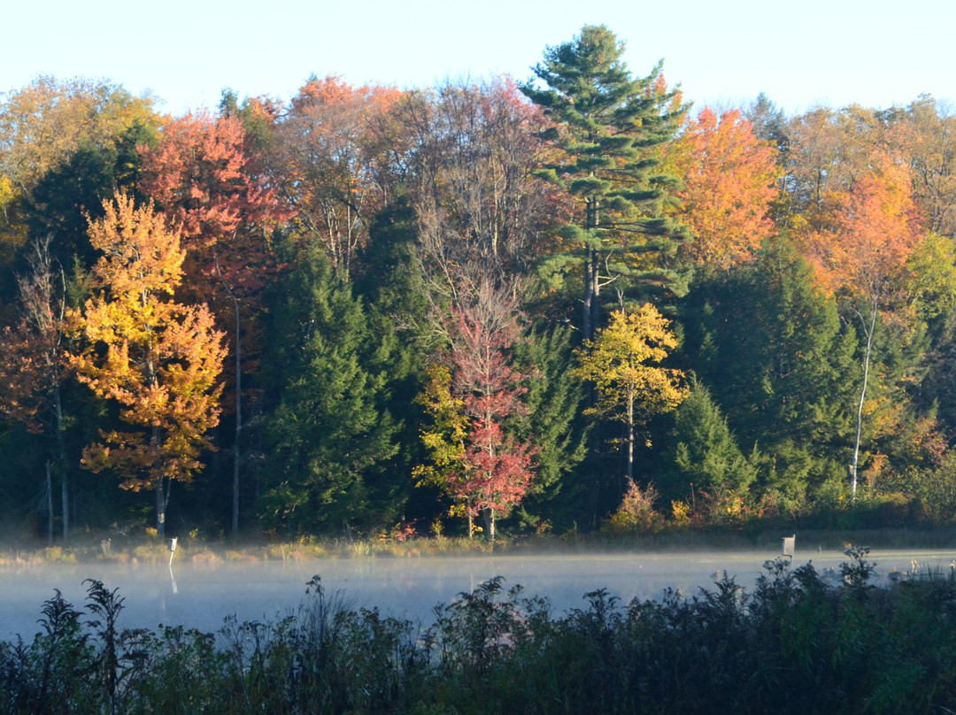 Hills Creek State Park景点图片