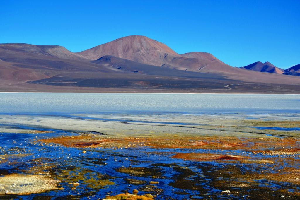 Laguna Brava景点图片