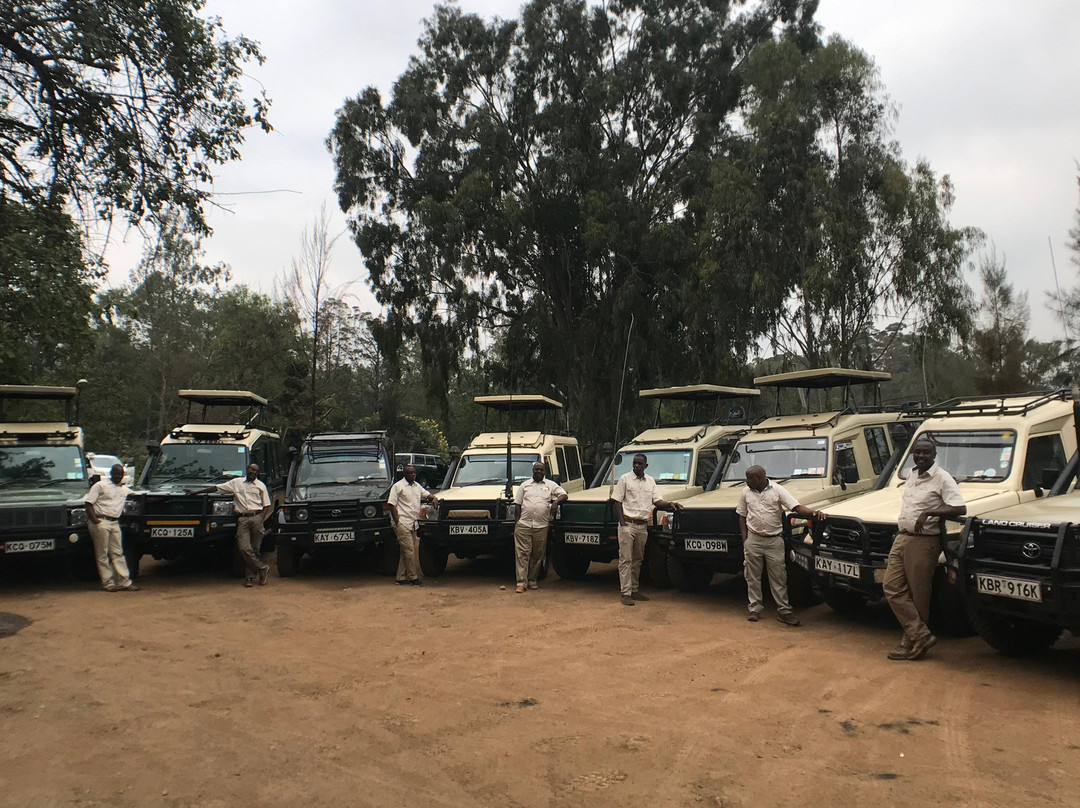 Journeys Beyond Africa