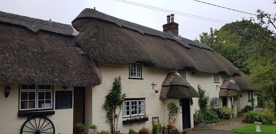 The Crown Inn Alvediston主图
