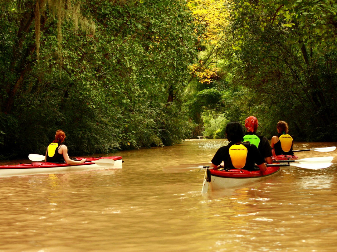Sudeste Paseos y Travesias-蒂格雷必去景点